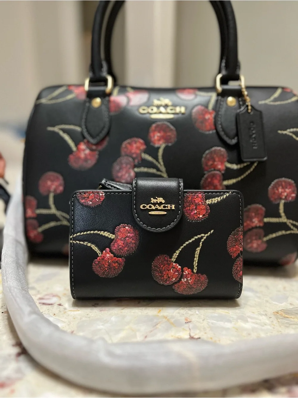 Bundle Coach  Rowan Satchel Bag With Cherry Print and wallet NWT